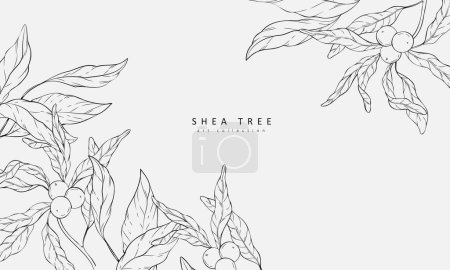 Illustration for Floral bakground with shea tree. Botanical herbs for cosmetic, wall art or wallpaper. Vector illustration. Luxury inked art - Royalty Free Image