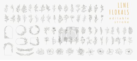 Illustration for Set of different flowers, brunch and frames from flat editable stroke. Luxury line floral collection for wedding invitation art, design template. Botanical vector illustration, lined herbs - Royalty Free Image
