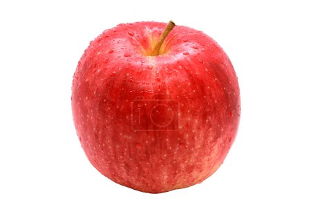 Téléchargez les photos : Gros plan pomme fraîche Aomori du Japon avec sélection de chemin de coupe isolé sur fond blanc. Qualité de fruits populaires du Japon. - en image libre de droit