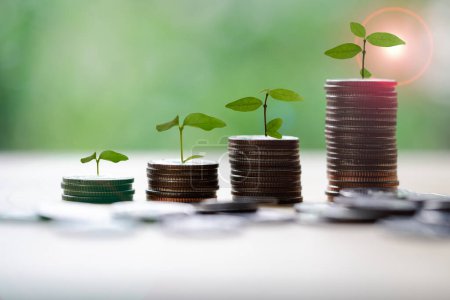 Save money for prepare in the future. Tree growing on coin of stacking coins with green bokeh background, investment concept. Business finance and save money concept.