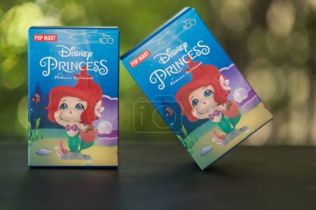 Photo for Bangkok, Thailand - November 6, 2023: Two box of POP MART Disney 100th anniversary Princess Childhood Series Figures Blind Box against nature background - Royalty Free Image