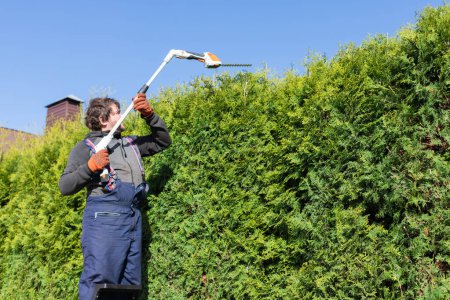 Photo for Male gardener using a long reach pole hedge trimmer to cut the top of a tall hedge. Professional gardener with a professional garden tools at work. Standing on the ladder. - Royalty Free Image