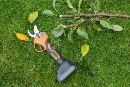 Electrical manual secateur on a lawn with cutted twigs, branches of a tree. The concept of pruning trees in spring and autumn. Electric pruner for cutting trees and bushes. Top view.