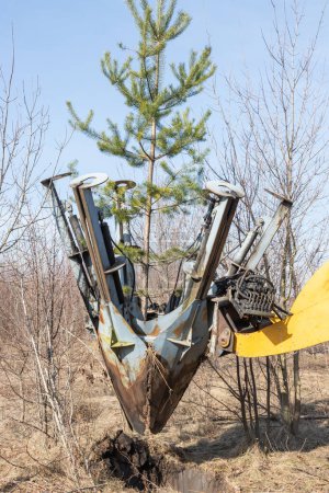 Tree transplanter heavy machine shovel with pine tree. Landscaping, seasonal agricultural engineering, large trees landing machines. Planting of tree using tree spade - specialized machine for transplanting and transport trees. Vertical.
