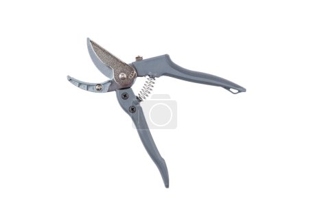 Steel gardening secateurs, scissors tool with gray grip for pruning of fruits, garden work, isolated on white background. Open state. Top view. Close-up.