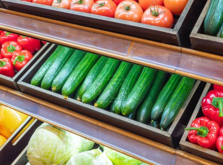 Cucumber and other fresh vegetables on store shelves, on market counter. A large selection of fresh vegetables on the market.