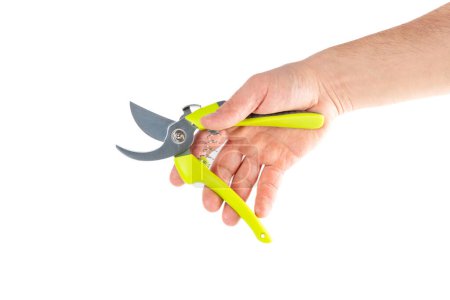 Photo for Steel garden secateurs, scissors with green plastic handle in male's hand isolated on a white background. Close-up. - Royalty Free Image