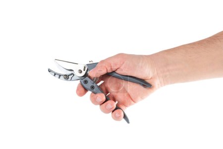 Steel garden secateurs, scissors with gray plastic handle in male's hand isolated on a white background. Close-up.