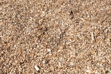Pile of wood chips background, top view. Organic mulch. Waste from the woodworking industry, fuel and raw materials for heating solid fuel industrial boilers on wood chips. Close-up.