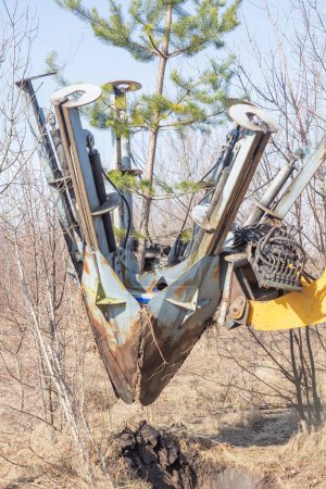 Baumpflanzmaschine schwere Schaufel mit Kiefer. Pflanzung von Bäumen mit dem Spaten - spezialisierte Maschine für die Pflanzung und den Transport von Bäumen. Vertikal.