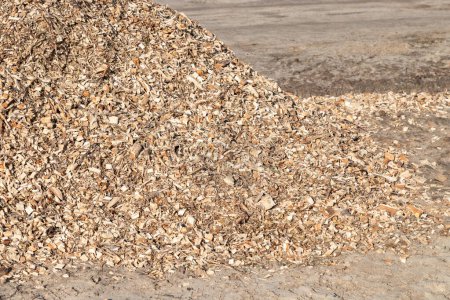 Pile of wood chips background, top view. Organic mulch. Waste from the woodworking industry, fuel and raw materials for heating solid fuel industrial boilers on wood chips. Close-up.