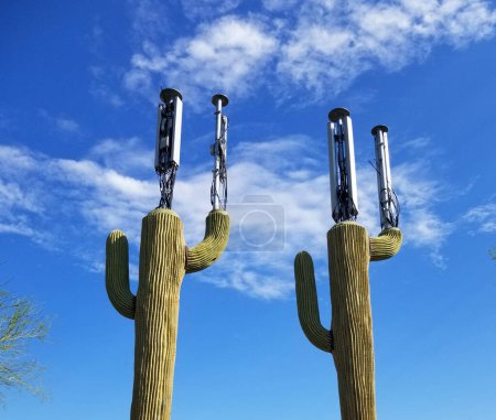 Cell phone towers disguised as saguaro cacti