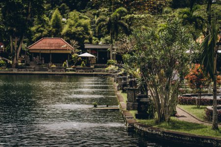 Foto de Increíble vista de Saraswati exuberante jardín con estanque. Arquitectura balinesa y vegetación tropical - Imagen libre de derechos