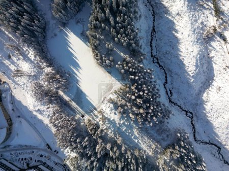 Aerial view of winter Low Tatras mountain slope in Slovakia. Drone flight view to tops of fir and pine trees with long slanting shadow at sunset, houses and road in Demanovska Dolina village