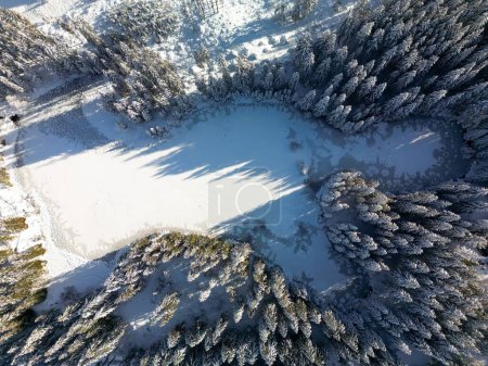 Luftaufnahme Winter auf schneebedeckten eisigen weißen See und Kiefernwald in der Niederen Tatra der Slowakei. Drone Overhead Blick auf Wipfel von Tannen und Kiefern, Teich mit Schnee und Eis, lange schräge Schatten des Sonnenuntergangs