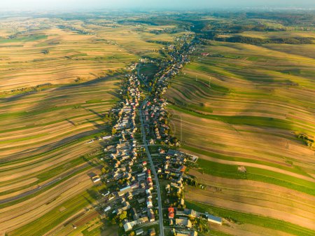 Drone view of agricultural green and yellow fields, settlement along road. Summer landscape of Suloszowa village in Krakow County