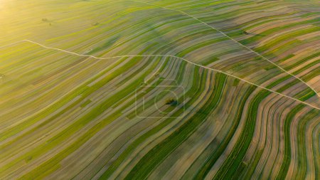 Sunset drone view of roads through cultivated farm fields in Suloszowa village in Krakow County, Poland