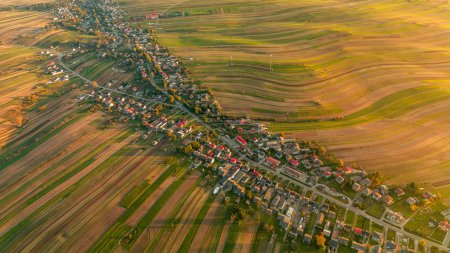 Panoramic aerial view of Suloszowa village in Krakow County, Poland. Summer landscape with cultivated fields and settlement along road in sunlight