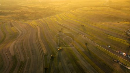 Téléchargez les photos : Photo aérienne de drone volant au-dessus des champs jaunes du village de Suloszowa dans le comté de Cracovie au coucher du soleil, Pologne - en image libre de droit