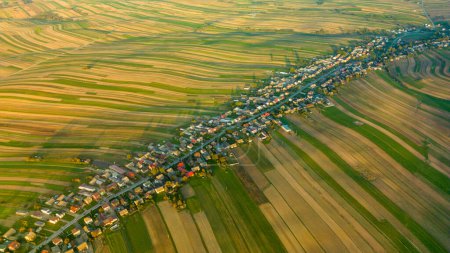 Téléchargez les photos : Vue aérienne par drone du village de Suloszowa le long de la route dans le comté de Cracovie. Beau paysage rural de la Pologne - en image libre de droit