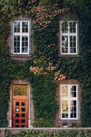Stone walls of kings palace covered with green creepers. Windows and door of Wawel Royal Castle in Krakow, Poland