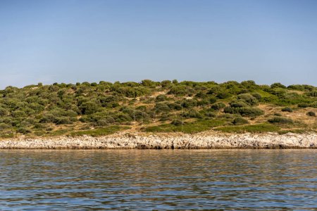 Strip of sea waves, rocky beach, grass and shrubs on hill of Dugi Otok island in Adriatic Sea, Croatia