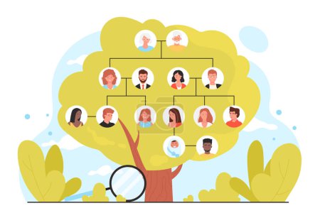Ilustración de Genealogy, infographic family tree vector illustration. Cartoon green tree with portraits icons of four generations of relatives on branches, magnifying glass to study history and ancestry for reunion - Imagen libre de derechos