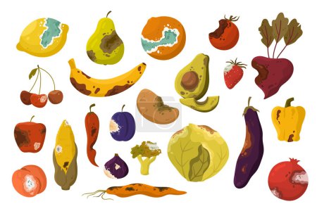 Gammeliges Gemüse und Obst setzen Vektorillustration. Cartoon schlechte ungesunde Produkte aus Küchenabfall und Mülltonne, Sammlung von schimmeligen abgelaufenen Lebensmittelzutaten mit brauner Haut, Fäulnis und Schimmel