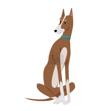 Illustration for Dog with pointy ears. Doggy domestic breed, family friend pet, petting puppy vector illustration - Royalty Free Image