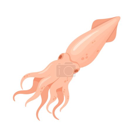 Illustration for Seafood squid animal. Seafood menu, fresh fish squid, marine life animal vector illustration - Royalty Free Image