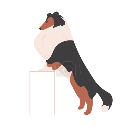 Illustration for Jumping sheltie dog breed. Sheep doggy, domestic family pet cartoon vector illustration - Royalty Free Image
