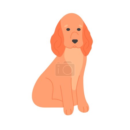 Illustration for English cocker spaniel dog. Furry domestic puppy breed, family pet cartoon vector illustration - Royalty Free Image