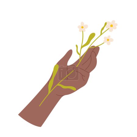 Illustration for Wild flower branch in human hand. Blooming summer flowers, forest flora cartoon vector illustration - Royalty Free Image
