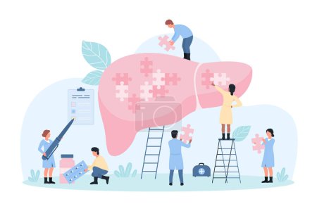 Illustration for Liver disease diagnosis and treatment, hepatology vector illustration. Cartoon tiny people holding pieces of puzzle jigsaw to fit into big human organ, diagnostic examination by hepatologists - Royalty Free Image