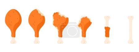 Téléchargez les illustrations : Jeu de tambour de poulet mangé de séquence d'animation. Stades de manger de la cuisse de volaille croustillante rôtie ou frite avec des morsures, cuisse croquante dorée entière pour mordre la viande et l'os illustration vectorielle de dessin animé - en licence libre de droit