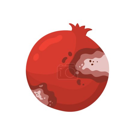 Ilustración de Fruta de granada podrida. Mala comida no saludable de la cocina, moho expirado fruta tropical ilustración vector de dibujos animados - Imagen libre de derechos