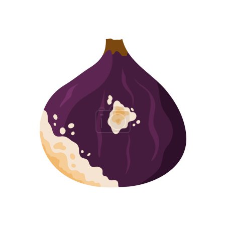 Illustration for Old rotten fig fruit. Bad old unhealthy food, moldy expired product, organic garbage cartoon vector illustration - Royalty Free Image