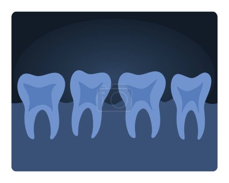 Illustration for Dental xray scan. Human teeth radiography, medical test of human tooth cartoon vector illustration - Royalty Free Image