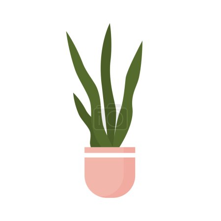 Téléchargez les illustrations : Sansevieria, grande plante de serpent en pot ou vase pour la décoration intérieure de la pièce illustration vectorielle - en licence libre de droit