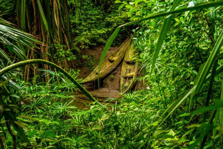Foto de Antigua canoa indígena de madera en el denso parque natural de la selva húmeda - Imagen libre de derechos