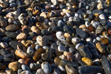 Modèle de texture de fond unique coloré pierres de galets humides sur la plage