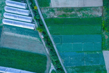 Téléchargez les photos : Vue panoramique sur les champs et les serres où poussent légumes et légumes verts. Agro-alimentaire et exportation de produits. Agriculture. - en image libre de droit