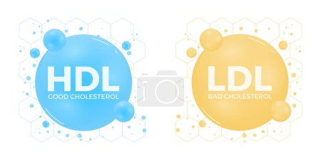 Ilustración de Good HDL and bad LDL cholesterol icon blood vessel density. High-density and low-density lipoprotein. High cholesterol level. Vector illustration - Imagen libre de derechos