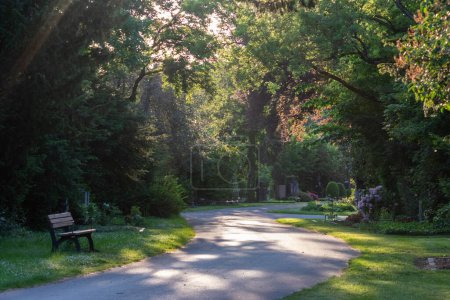 Téléchargez les photos : Route dans un beau parc ensoleillé - en image libre de droit