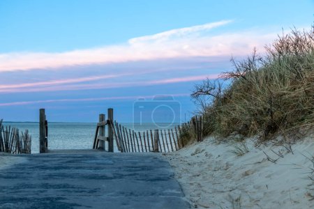 Beautiful atmospheric beach sunset with romantic colorful sky shows blue colors as north sea sandy beach and nature reserve at the ocean in blue hour mood as relaxing travel destination agent vacation