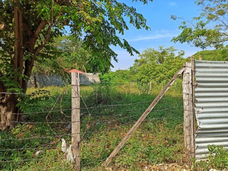 Passerelle rustique : L'entrée d'un domaine rural à Petn, Guatemala