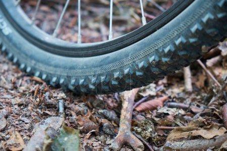 Téléchargez les photos : Une roue de vélo avec un pneu est debout dans la forêt sur le sol sur lequel reposent les feuilles et les branches. - en image libre de droit