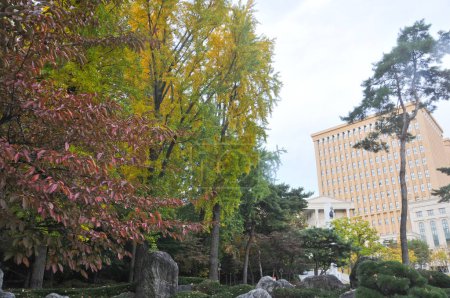 Foto de SEÚL, COREA DEL SUR - 26 DE OCTUBRE DE 2022: Colorido follaje con modernos edificios de oficinas del palacio de Deoksugung en otoño. - Imagen libre de derechos