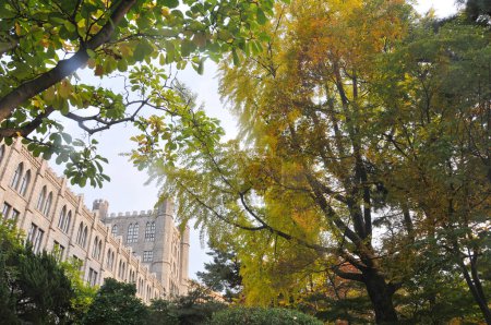 Foto de SEÚL, COREA DEL SUR - 26 DE OCTUBRE DE 2022: Arquitectura de la gran catedral del Salón de la Paz de la Universidad Kyung Hee con coloridos árboles follaje en otoño. - Imagen libre de derechos