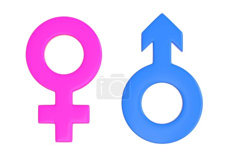 Foto de Símbolos macho y hembra aislados sobre fondo blanco. Símbolos sexuales. Signo de Venus y Marte. Icono de género. Un par de hombres y mujeres. Render 3d Ilustración 3d - Imagen libre de derechos